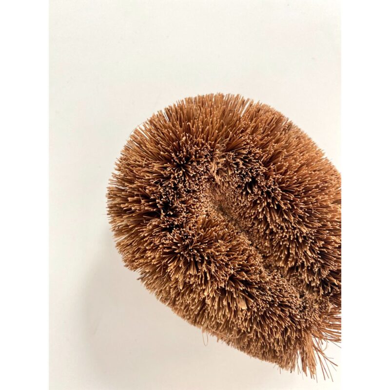 Brosse coco multiusage