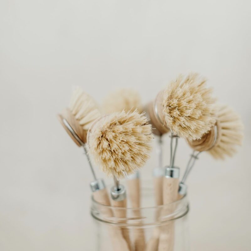 Brosse vaisselle en hêtre et fibre végétale