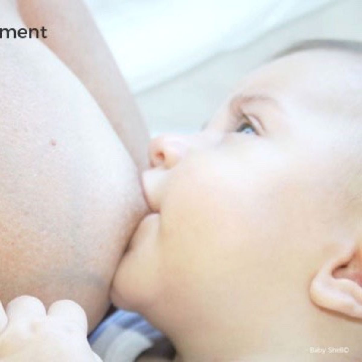 coquillage-allaitement-bebe