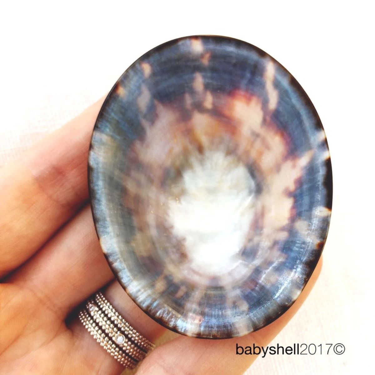 coquillage-allaitement-envers