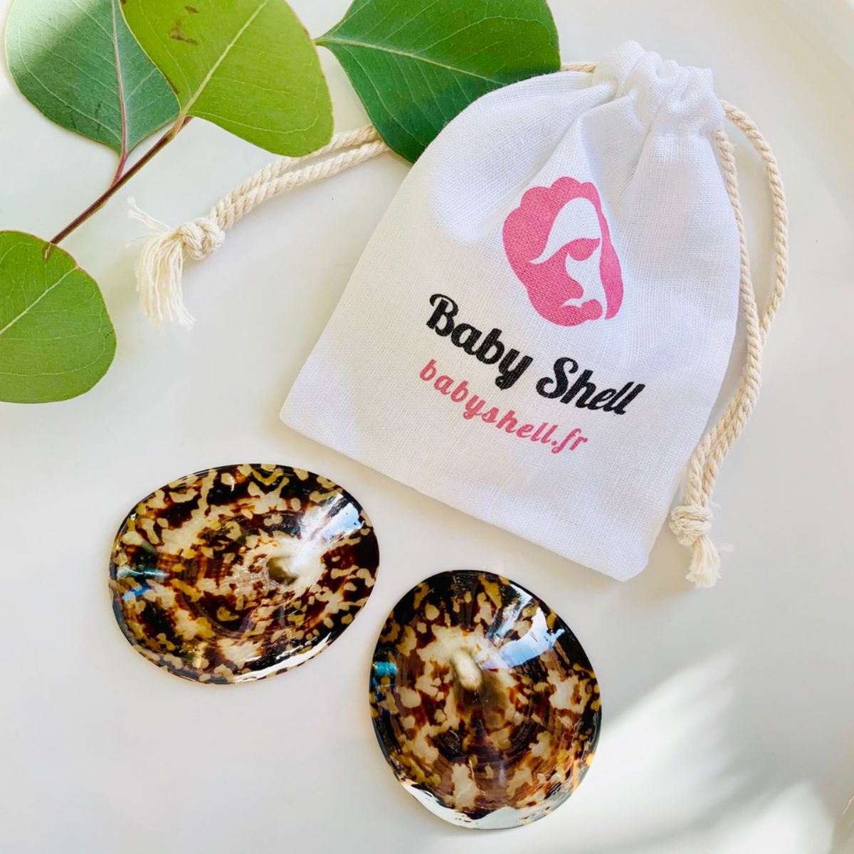 coquillage-allaitement-pochon