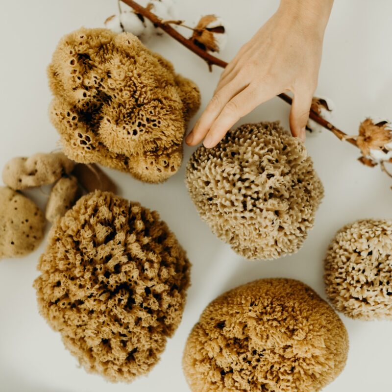 eponge-naturelle-mains-cotons-okjo