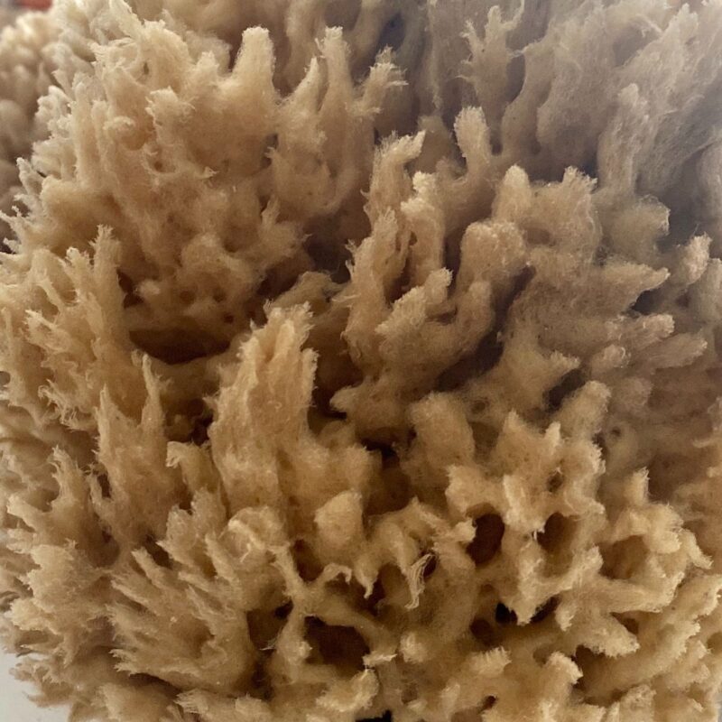 eponges-cuisine-wool-detail