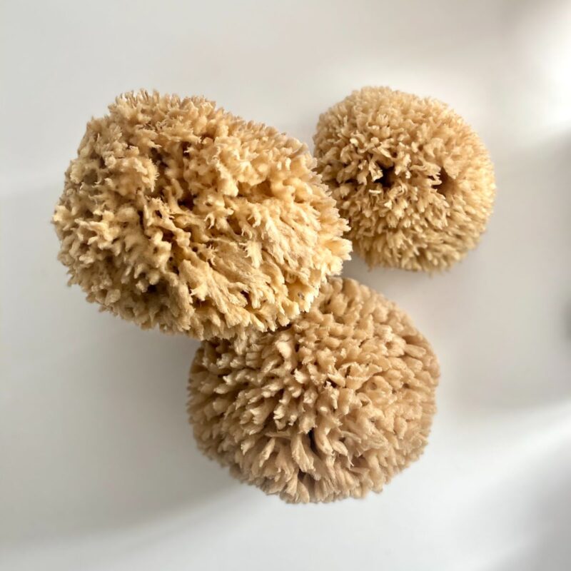 eponges-cuisine-wool-taille-II