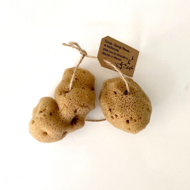 eponges-demaquillantes