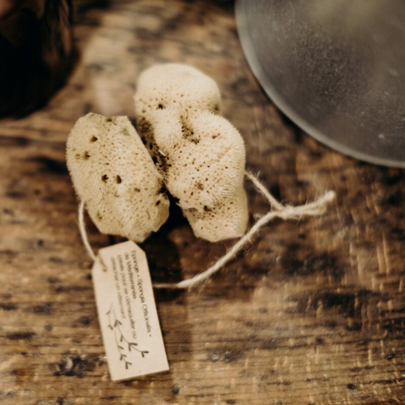 Eponges démaquillantes x 2