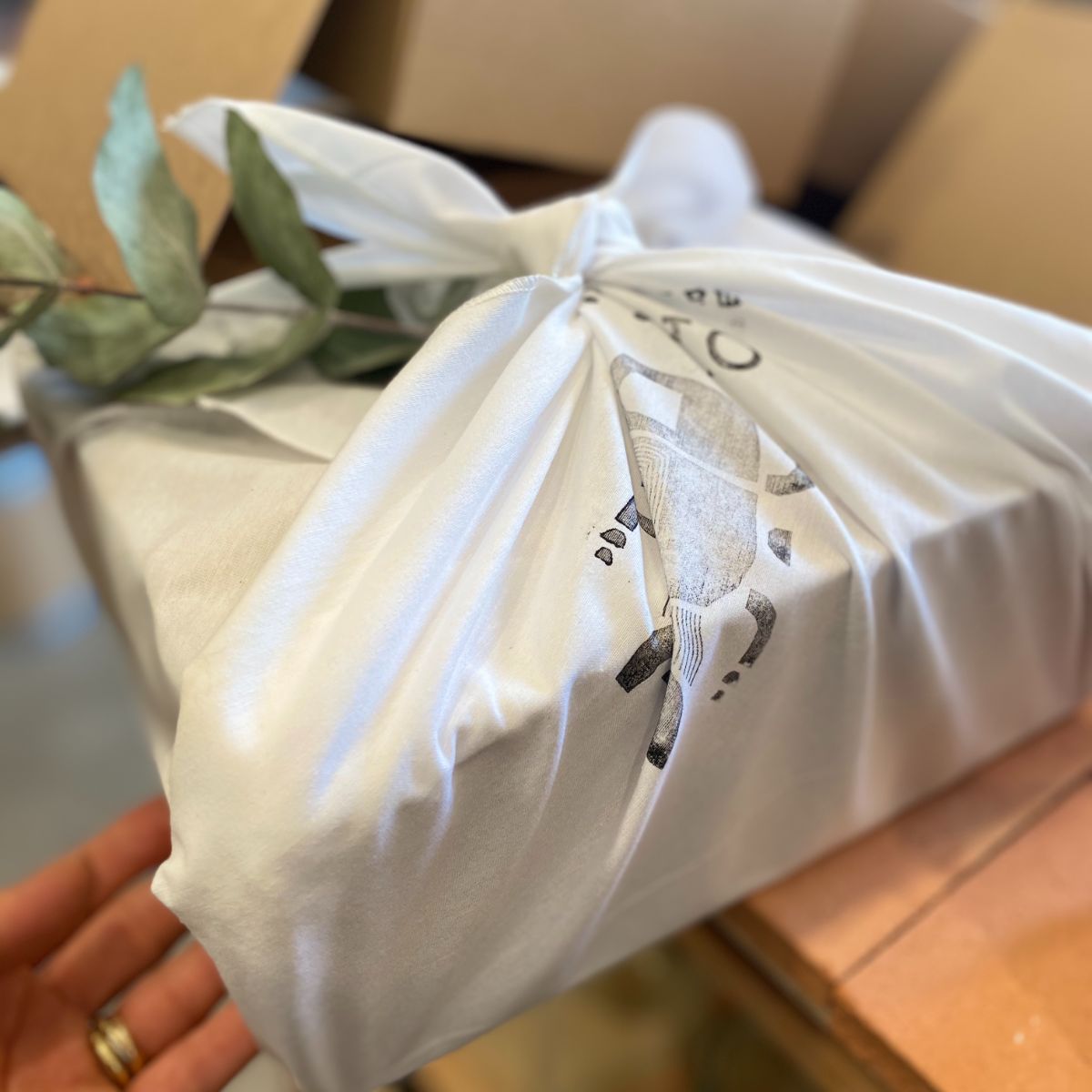 furoshiki-scarabee-dessus-