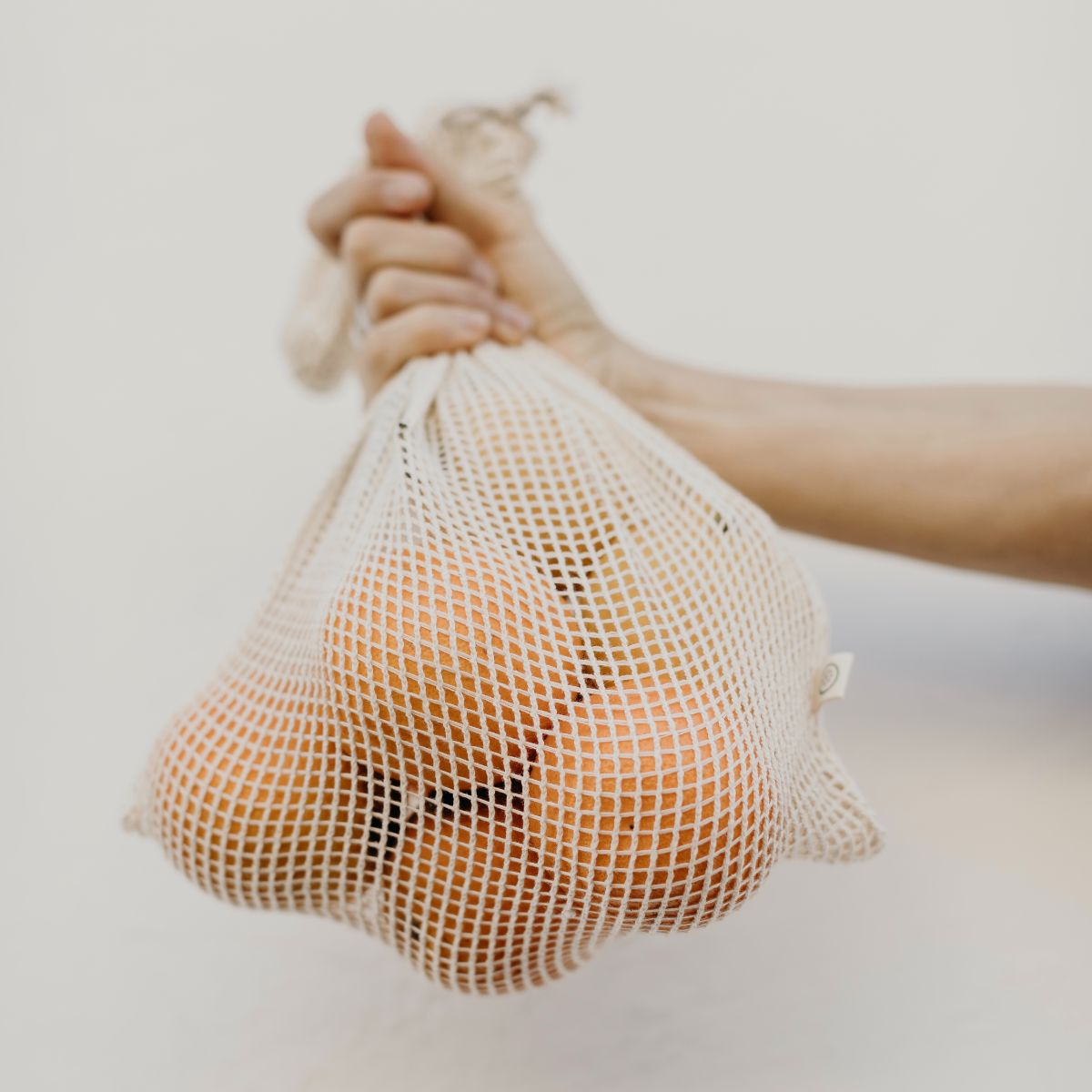 sac-mesh-agrumes-XIV