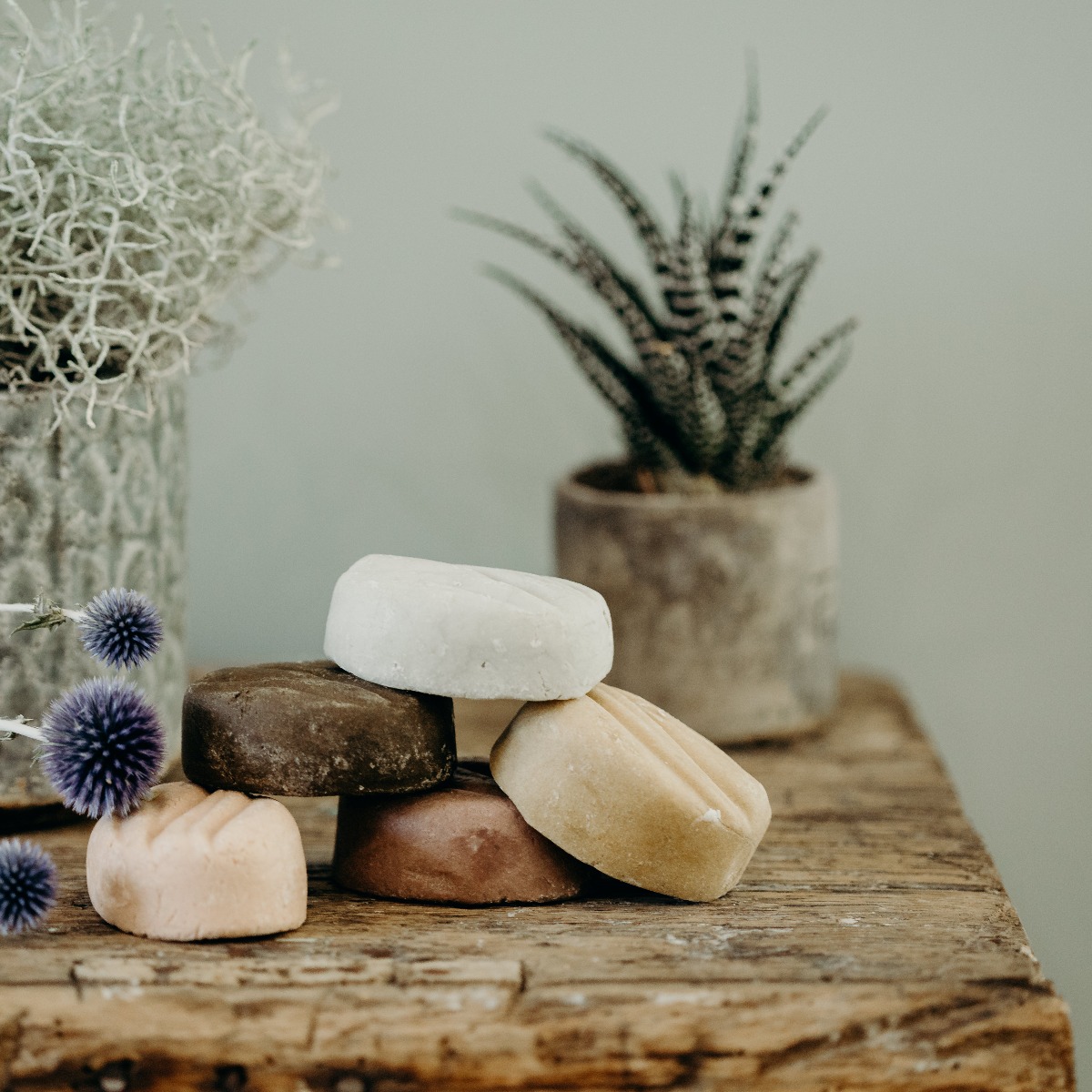 shampoings-pachamamai-chardon-okjo