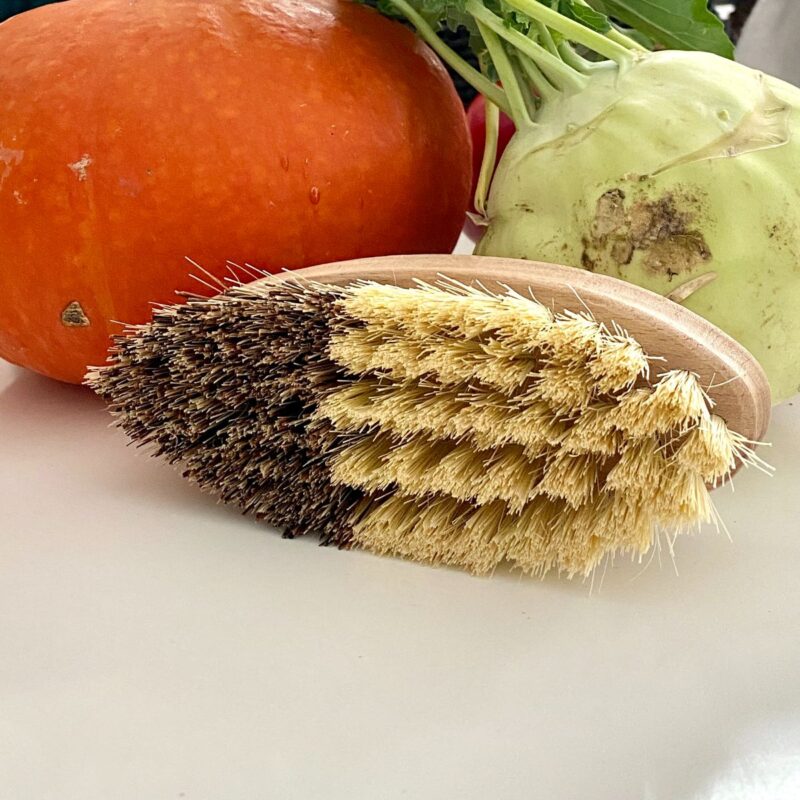 brosse-legumes-II