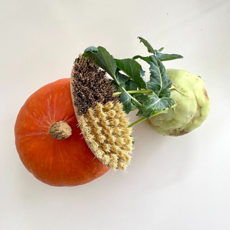 brosse-legumes-III