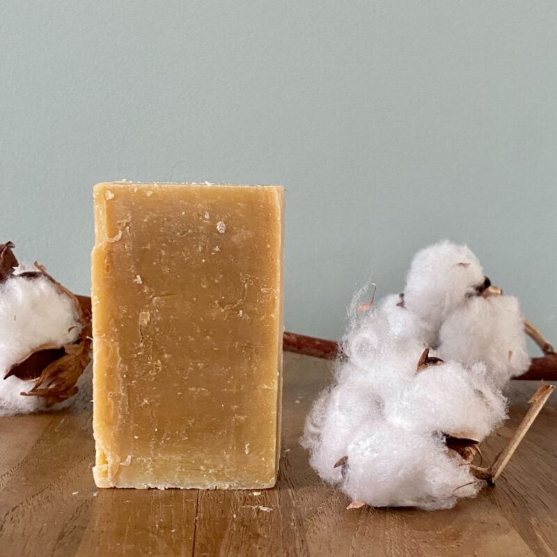 Savon à l'Aloé Arborescens