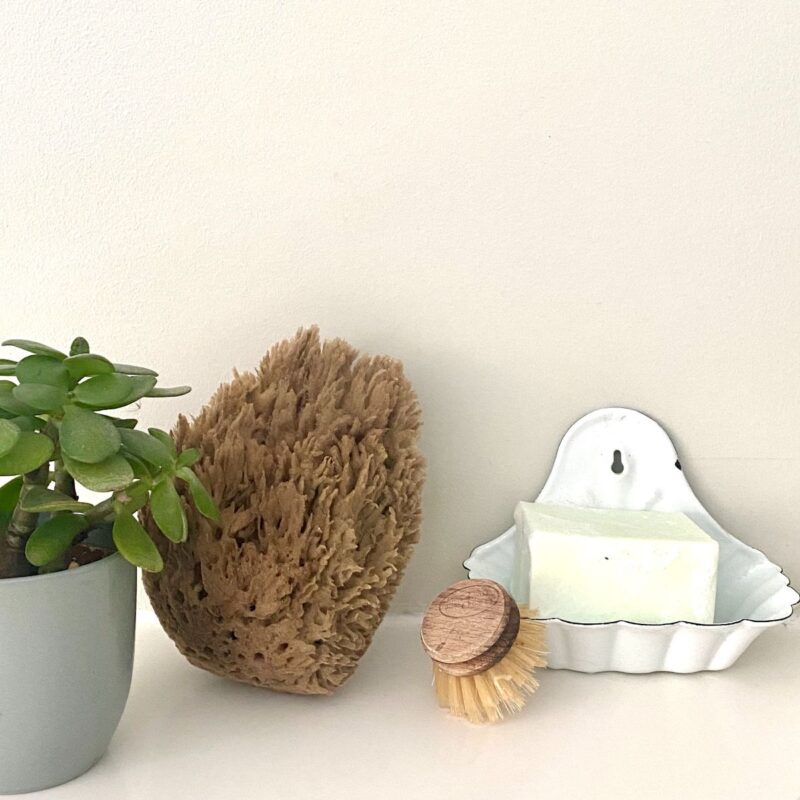 Savon vaisselle solide