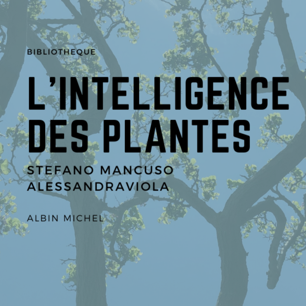 couverture livre intelligence des plantes