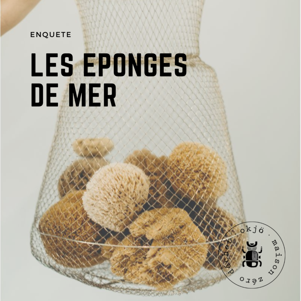 eponges de mer dans un filet de pecheurs