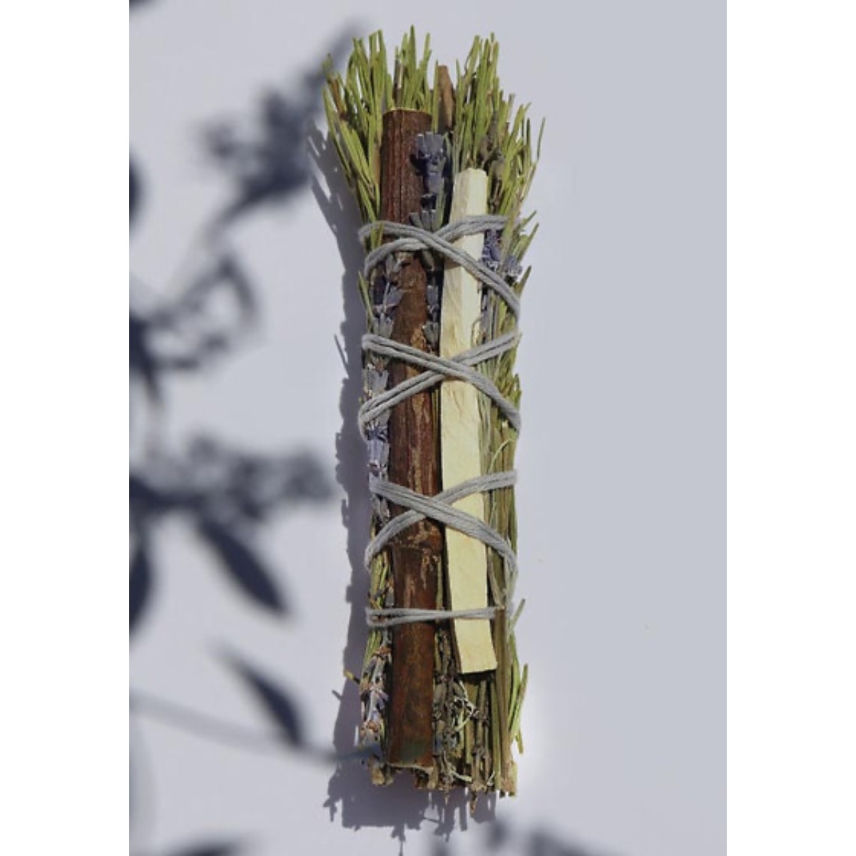 Totem-fumigation-la-chouette-4