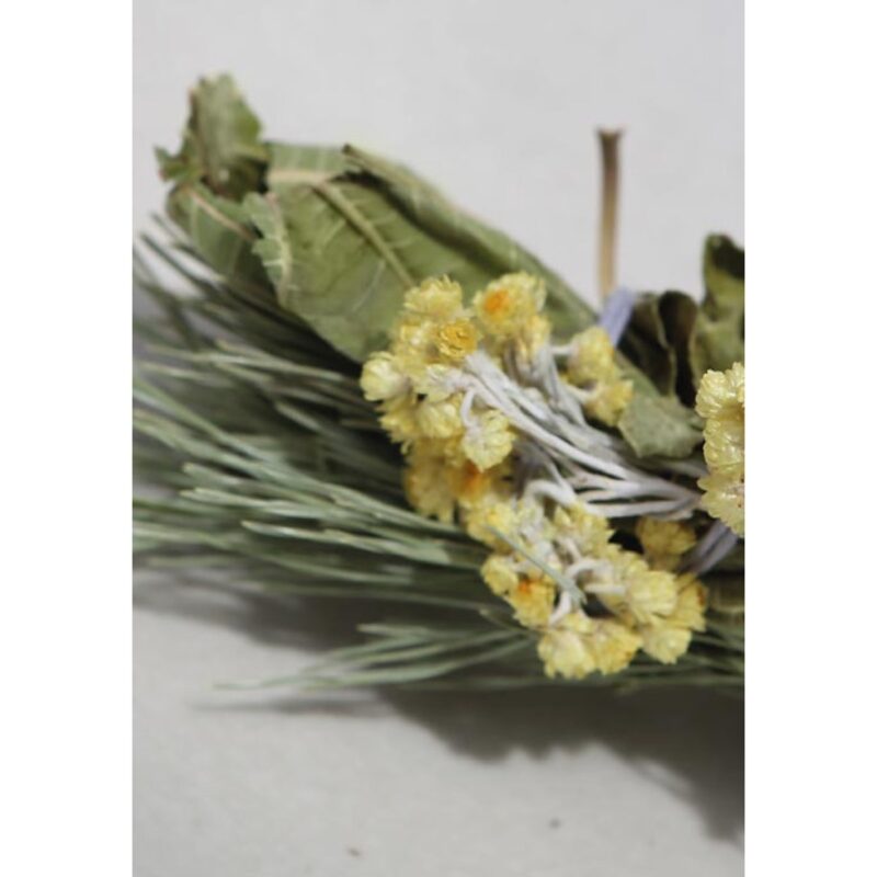 bouquet-de-l-ours-totem-nature-2