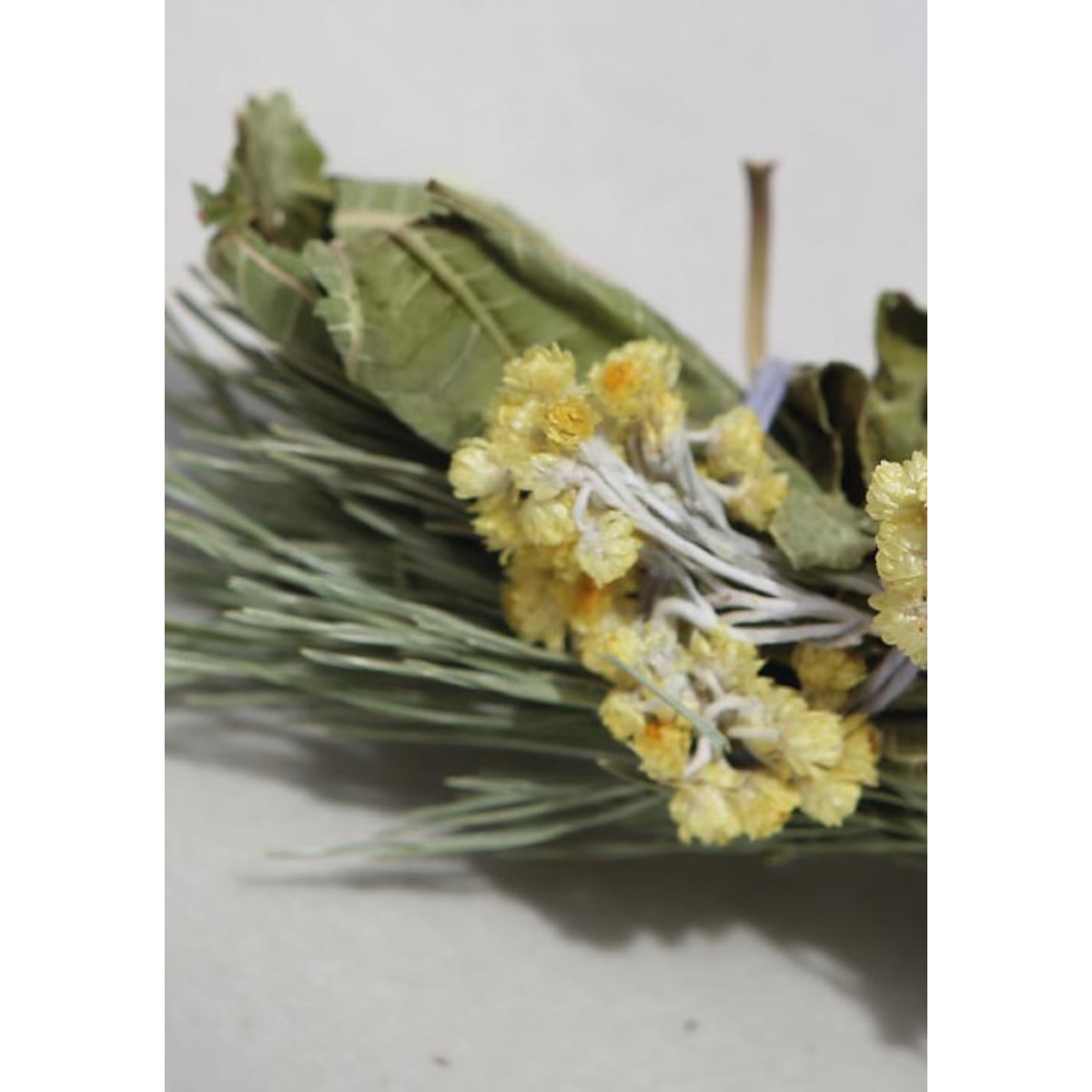 bouquet-de-l-ours-totem-nature-2