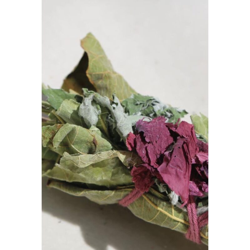 Le bouquet du lièvre