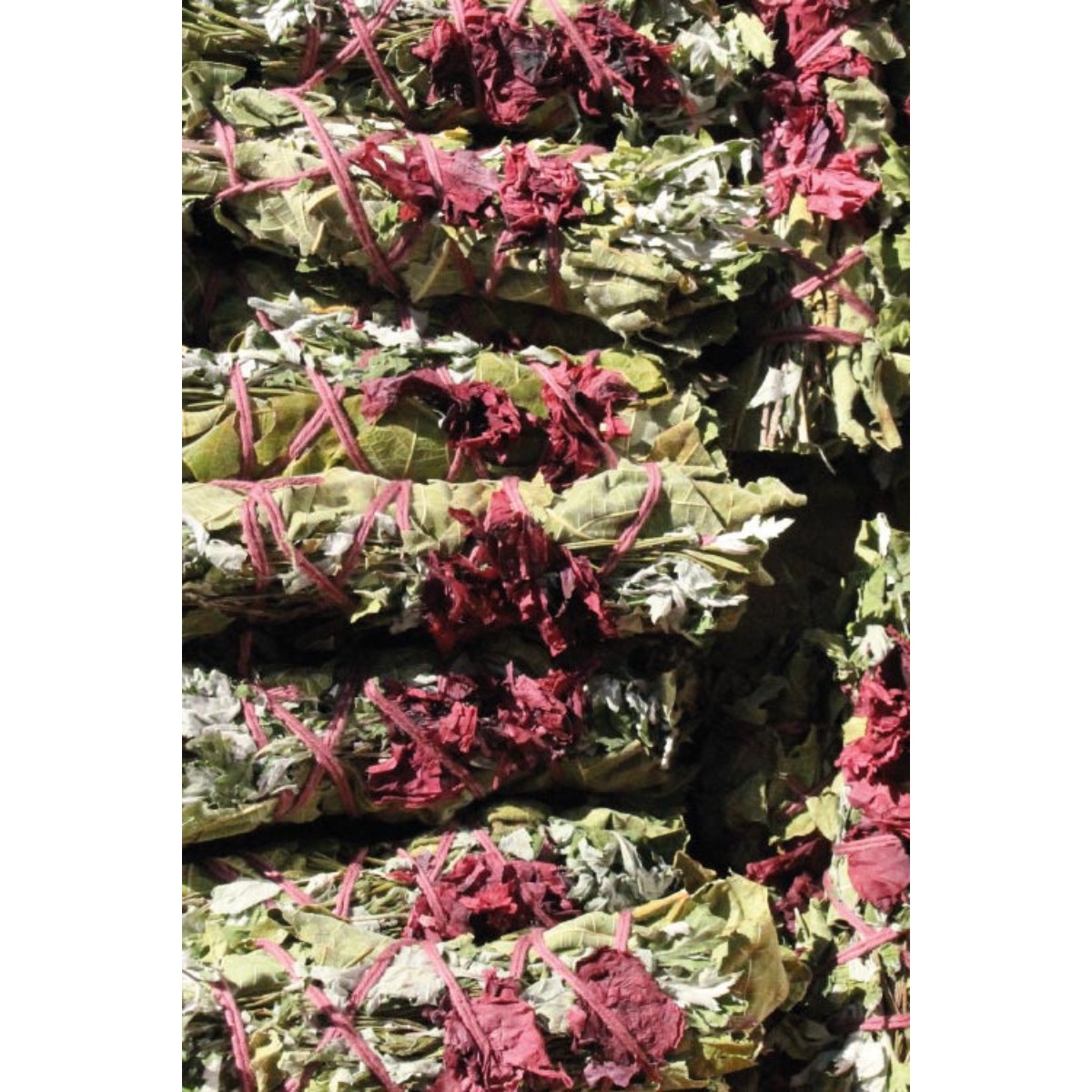 bouquet-du-lievre-totem-nature