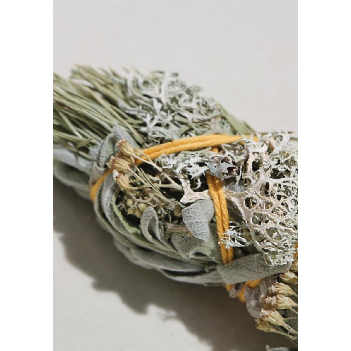 bouquet-du-loup-totem-nature-2