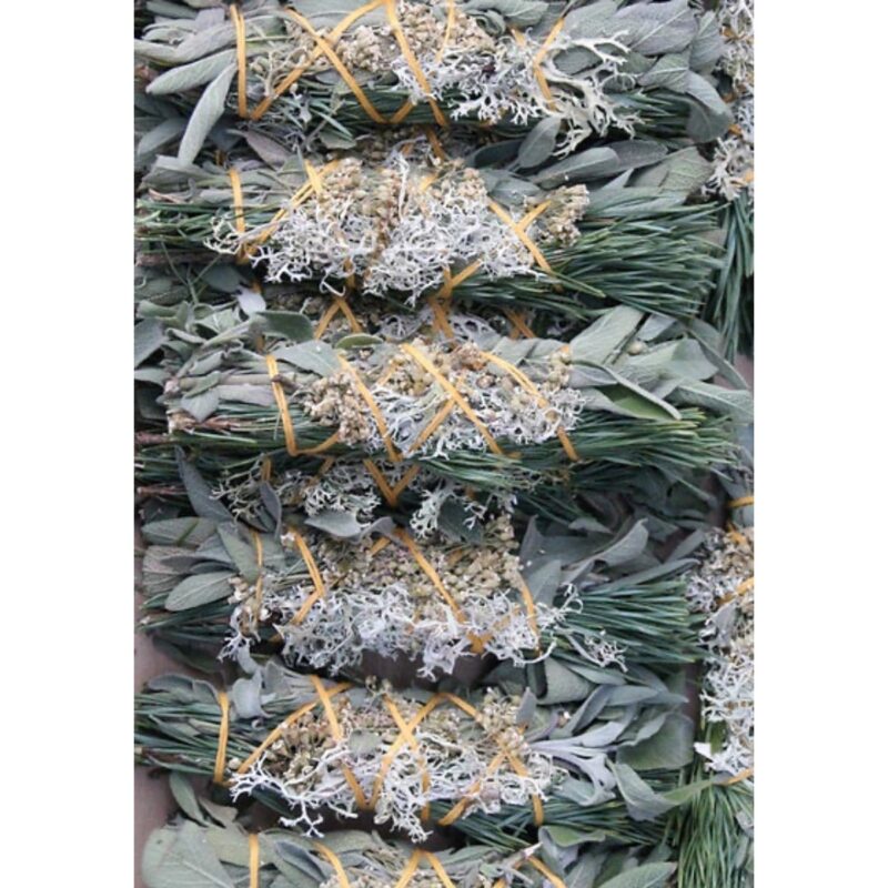 bouquet-du-loup-totem-nature-3