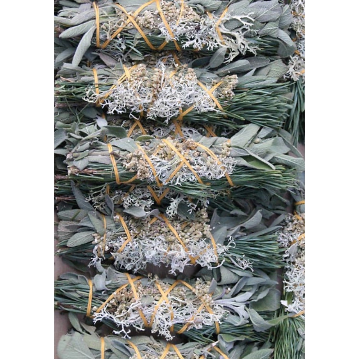 bouquet-du-loup-totem-nature-3