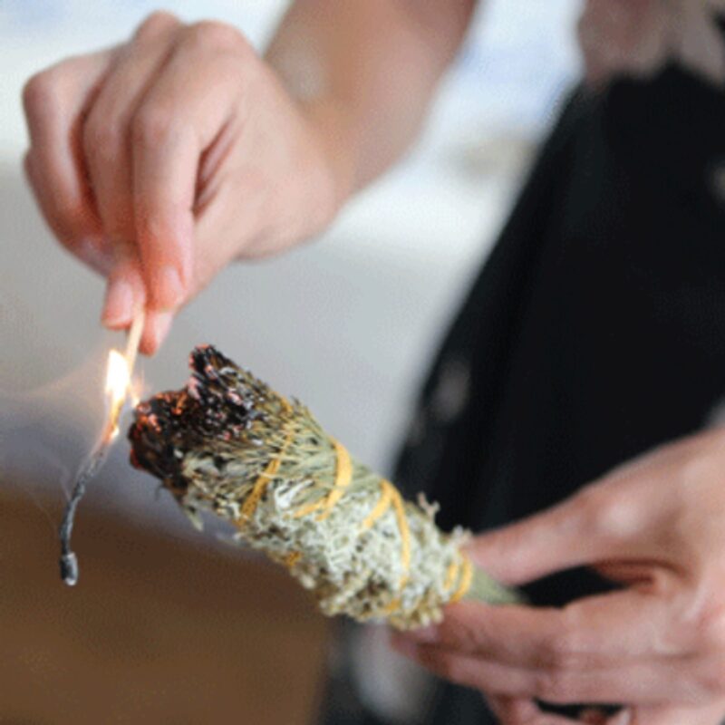 fumigation-totem-nature-3