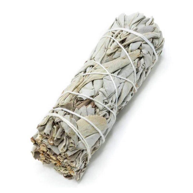 Bâton de sauge (smudge)