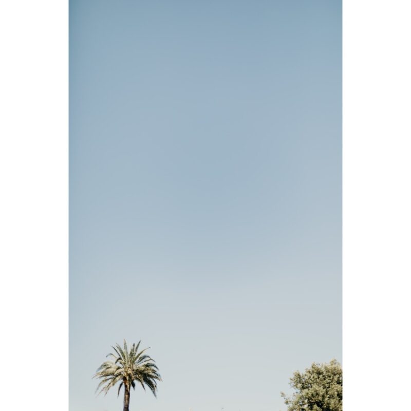 ciel-palmier